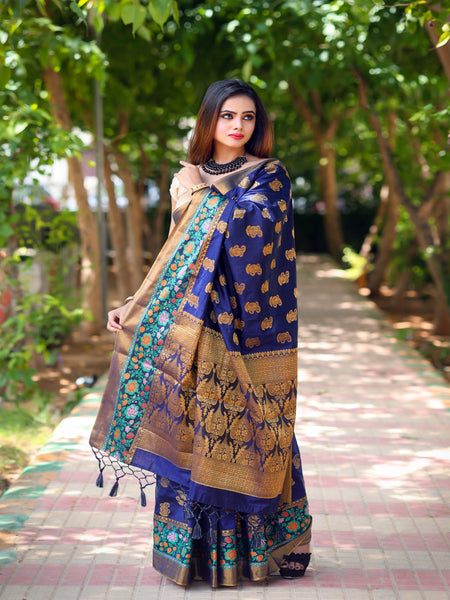 Reena Dwivedi In Banarsi Dupion Silk Saree With Matching Pallu. Available In 4 Colours.