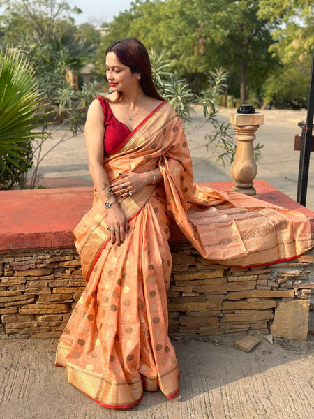 Reena Dwivedi In Banarsi Cotton Silk Designer Saree. Available In 5 Colours.