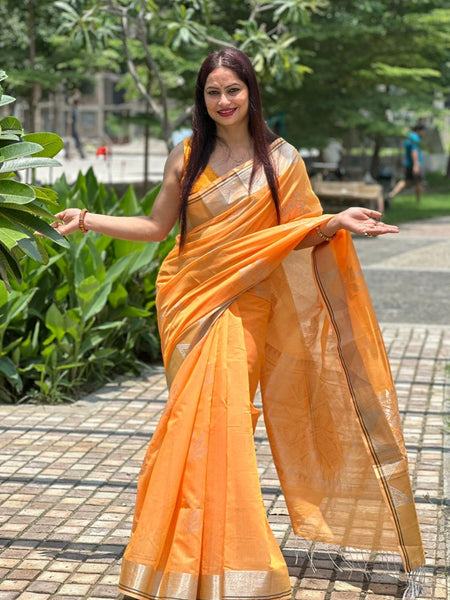 Reena Dwivedi In Chanderi Cotton Zari Silk Saree With Matching Pallu. Available In 4 Colours.