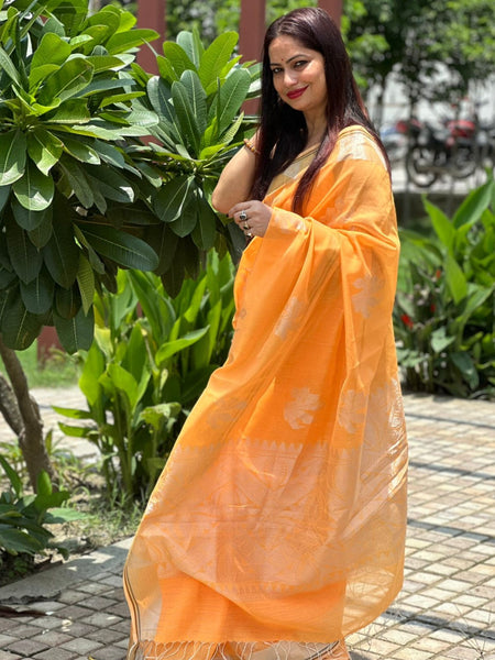 Reena Dwivedi In Chanderi Cotton Zari Silk Saree With Matching Pallu. Available In 4 Colours.