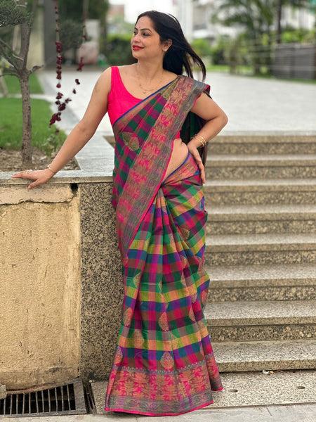 Reena Dwivedi In Banarsi Dupion Silk Saree With Matching Pallu