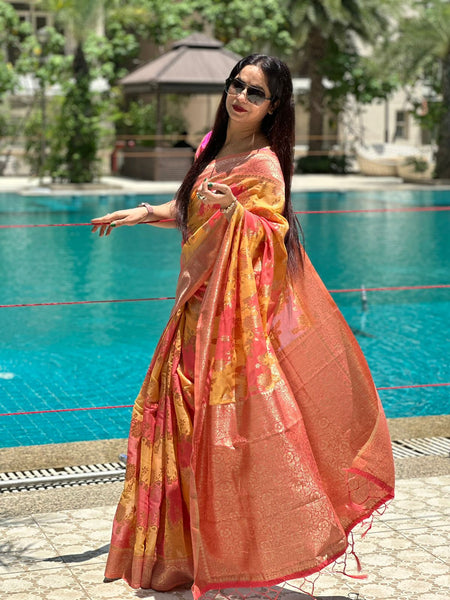 Reena Dwivedi In Banarsi Cotton Silk Designer Saree. Available In 6 Colours.