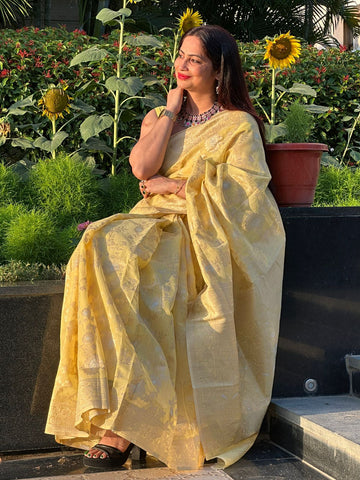 Reena Dwivedi In Banarsi Cotton Silk Saree. Available In 6 Colours.