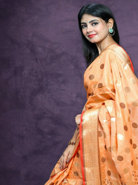 Naveena Kapoor In Banarsi Cotton Silk Designer Saree. Available In 6 Colours.