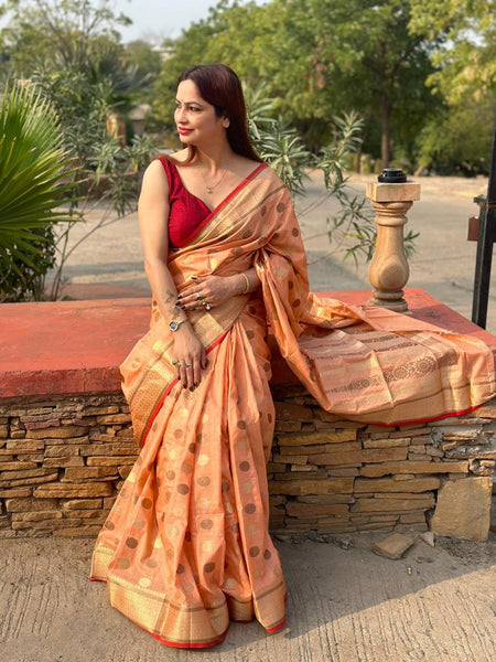 Reena Dwivedi In Banarsi Cotton Silk Designer Saree. Available In 5 Colours.