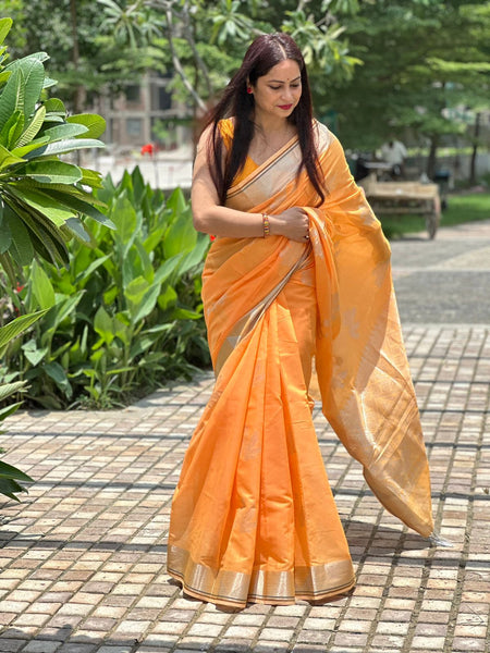 Reena Dwivedi In Chanderi Cotton Zari Silk Saree With Matching Pallu. Available In 4 Colours.