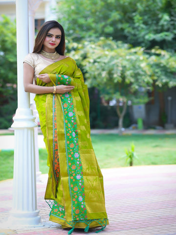 Raj Nandini Choudhary In Asparagus Banarsi Dupion Silk Saree With Matching Pallu