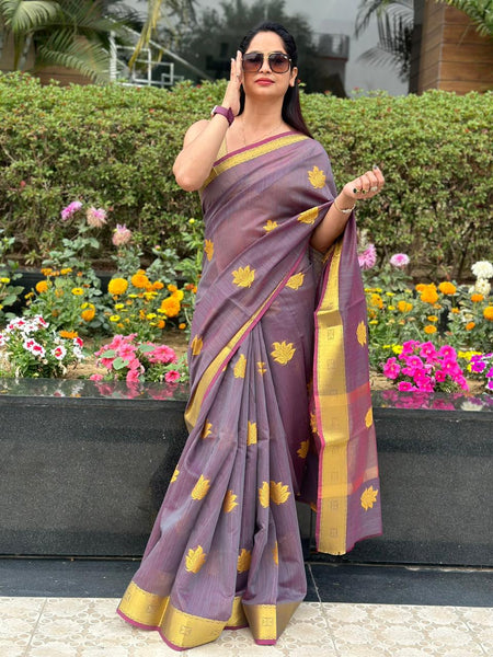 Reena Dwivedi In Designer Linen Saree With Zari Pallu