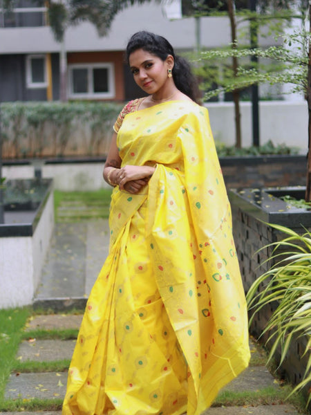 Roopa Mohan In Yellow Meenakari Zari Banarsi Silk Saree. Available In 7 Colours