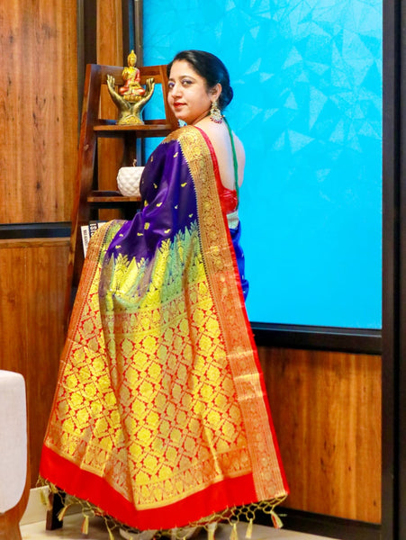 Ramya Pathak In Banarsi Silk Saree