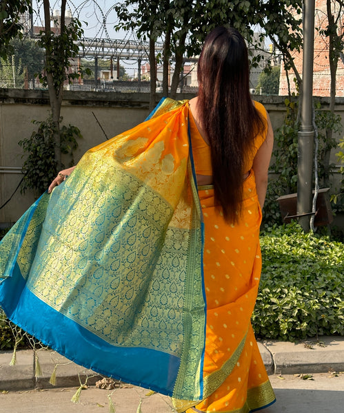 Reena Dwivedi In Banarsi Silk Saree. Available In 3 Colours.