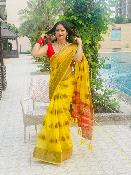 Reena Dwivedi in Banarsi Organza Saree With Booti Work. Available in 6 Colours.