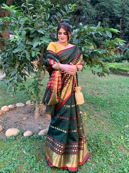 Naveena Kapoor In Chanderi Cotton Silk Designer Saree. Available In 3 Colours.