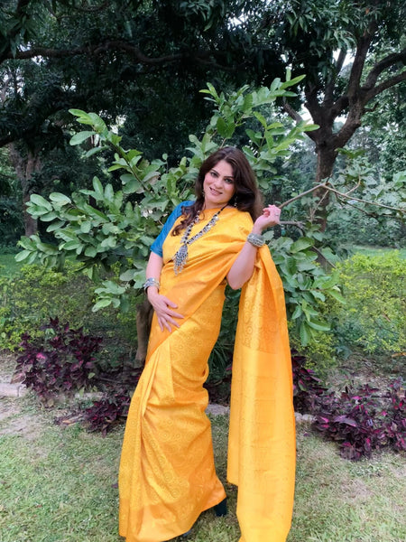 Naveena Kapoor In Kanjivaram Silk Designer Saree. Available In 7 Colours.