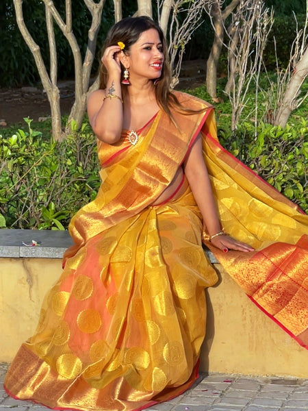 Megha Rathod In Kota Doria Saree. Available In 3 Colours.