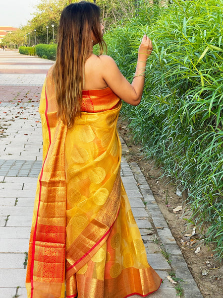 Megha Rathod In Kota Doria Saree. Available In 3 Colours.