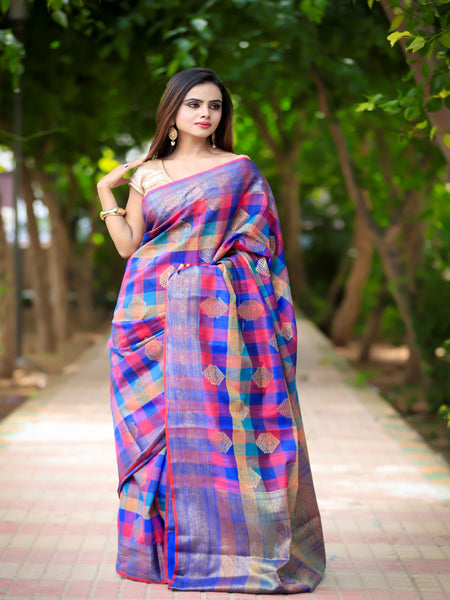 Raj Nandini Choudhary In Multicolour Banarsi Dupion Moonga Silk Saree With Matching Pallu