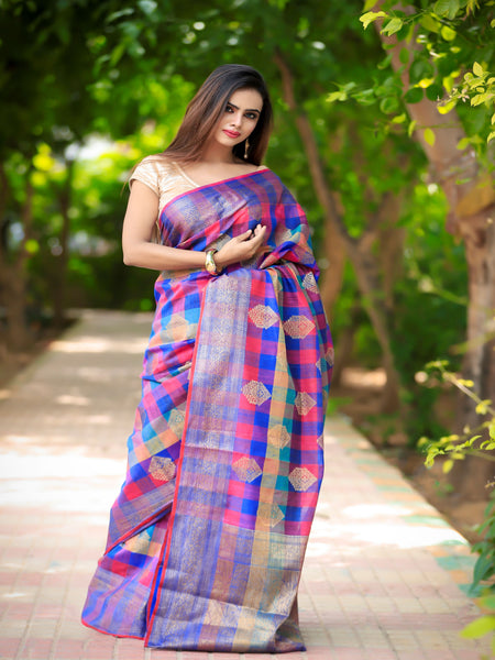 Raj Nandini Choudhary In Multicolour Banarsi Dupion Moonga Silk Saree With Matching Pallu