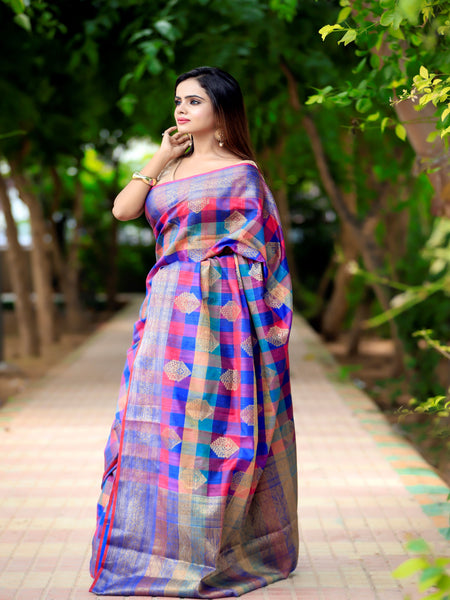 Raj Nandini Choudhary In Multicolour Banarsi Dupion Moonga Silk Saree With Matching Pallu