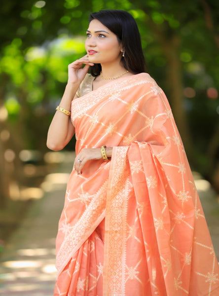 Bhawna Verma In Apricot Banarsi Silk Saree With Meena Border And Booti Work