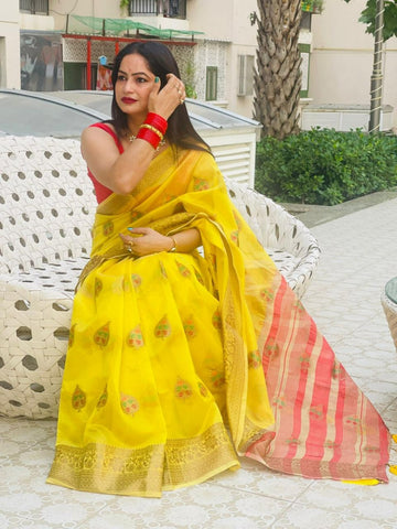 Reena Dwivedi in Banarsi Organza Saree With Booti Work. Available in 6 Colours.