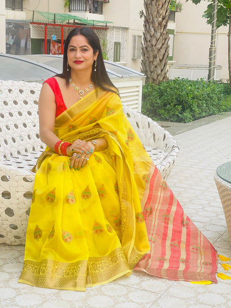 Reena Dwivedi in Banarsi Organza Saree With Booti Work. Available in 6 Colours.