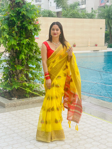 Reena Dwivedi in Banarsi Organza Saree With Booti Work. Available in 6 Colours.