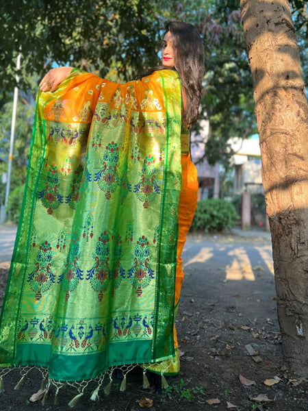 Sanjana Kale In Traditional Paithani Saree